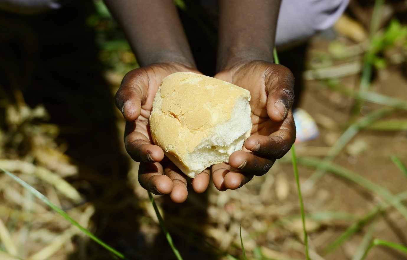 food insecurity in south africa essay
